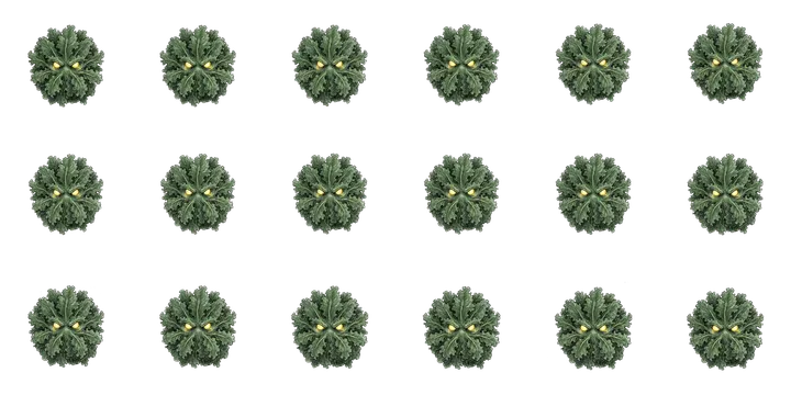 Kale Colossus